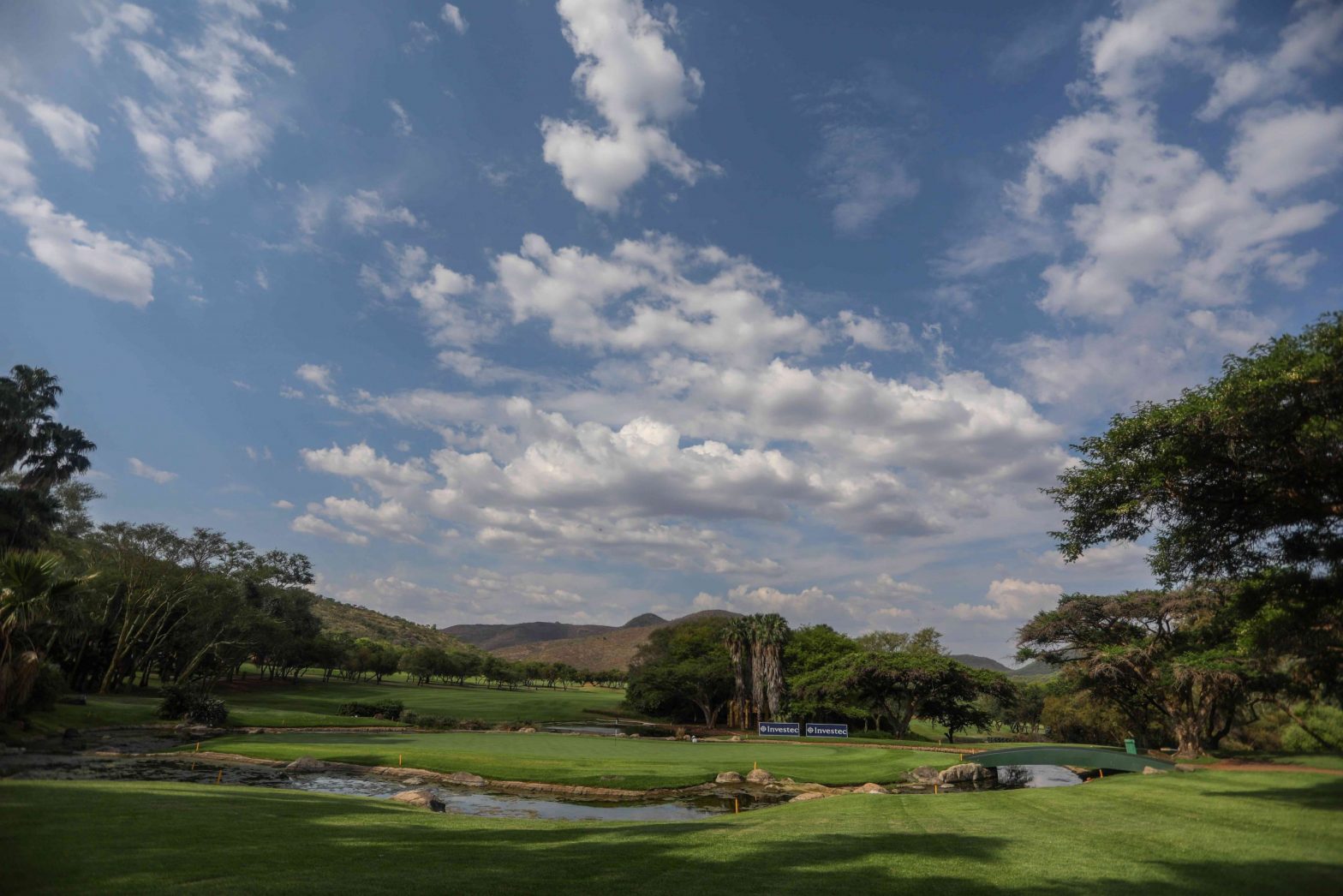 A half century of greatness for Investec Royal Swazi Open